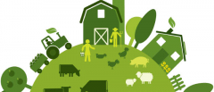 Agricultural Value Chain Development And Market Linkages