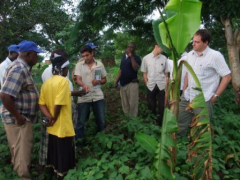 Agriculture Best Extension Practices