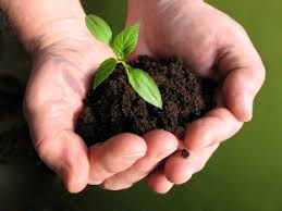 Agriculture Innovation And Technology For Sustainable Development, Nairobi, Kenya