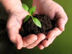 Agriculture Innovation And Technology For Sustainable Development