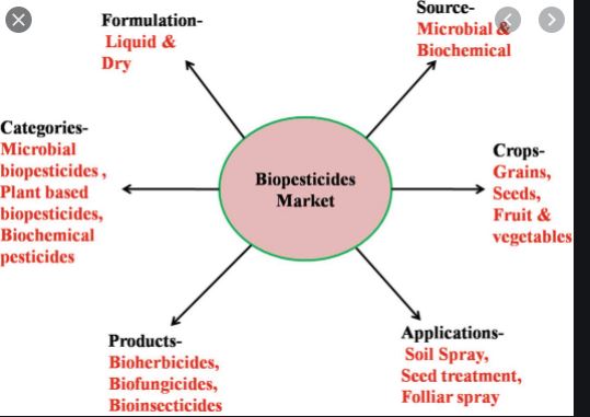 Biopesticide For Healthy And Sustainable Crop Production, Nairobi, Kenya