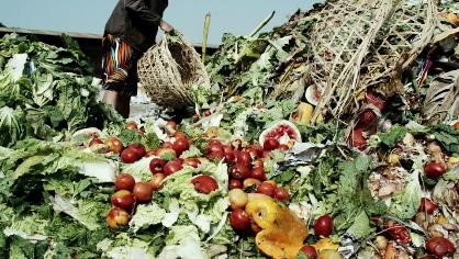 Causes And Minimization Of Post-Harvest Losses, Nairobi, Kenya