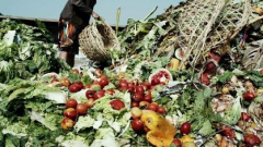 Causes And Minimization Of Post-Harvest Losses
