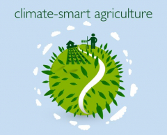Climate Smart Agriculture To Build Resilience In Mitigating Effects Of Climate Change