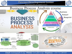 Business Process Analysis course