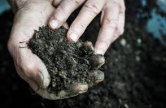 Integrated Soil Health And Fertility Management For Sustainable Food And Nutrition Security