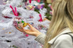 Essex Festive Gift And Food Show 2021