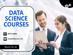 ExcelR Data Science Courses