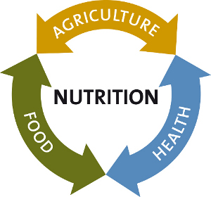 Nutrition Sensitive Agriculture For Food And Nutrition Security, Nairobi, Kenya
