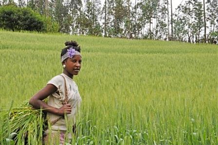Resilient Livelihoods, Nairobi, Kenya