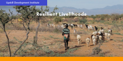 Resilient Livelihoods Training Course