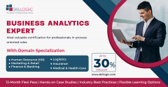 BUSINESS ANALYTICS EXPERT COURSE IN BANGALORE