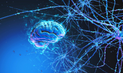 Mayo Clinic Stimulation Therapies for Epilepsy