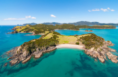 Discover the local treasures of New Zealand