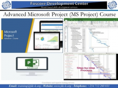 Advanced Microsoft Project (MS Project) Course 2
