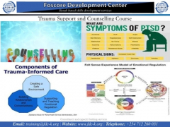 Trauma Support and Counselling Course