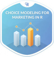 Training Course in Discrete Choice modeling through theory and practice