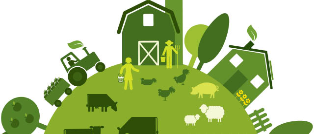 Training Course in Agricultural Value Chain Development and Market Linkages, Nairobi, Kenya