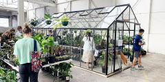 Sydney - Indoor Plant Warehouse Sale - End of Year Clearance!