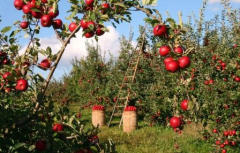 Training Course in Agro Entrepreneurship & Market Facilitation