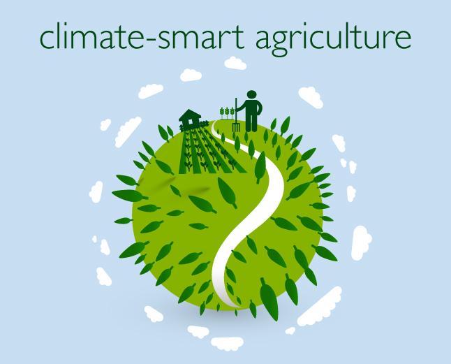 Training Course Climate Smart Agriculture to Build Resilience in Mitigating Effects of Climate Change, Nairobi, Kenya