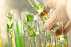Training Course Crop Biotechnology for Food Security and Nutrition