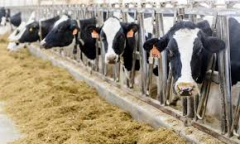 Training Course in Dairy Value Addition for Food Security