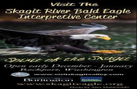 Skagit River Bald Eagle Interpretive Center, Rockport, Washington, United States