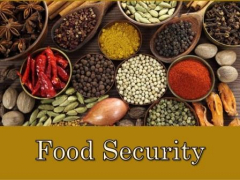 Training Course in Food Security Policies Formulation and Implementation