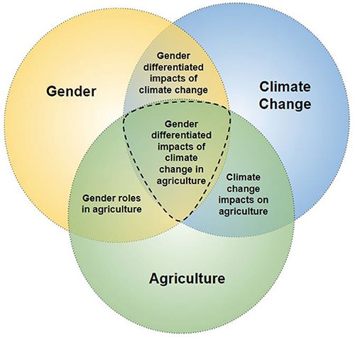 Training Course in Gender Analysis and Integration in Agriculture, Nairobi, Kenya