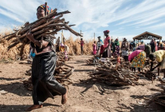 Training Course in Livelihoods Assessment and Analysis
