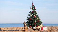 Christmas by the Sea