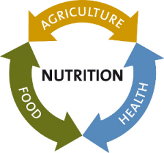 Training Course in Nutrition Sensitive Agriculture for food and nutrition security