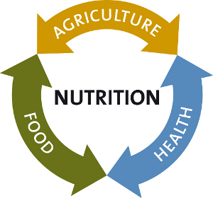 Training Course in Nutrition Sensitive Agriculture for food and nutrition security, Nairobi, Kenya