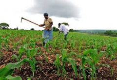 Training Course in Smallholder Producers Empowerment and Entrepreneurship Development (SPEED)