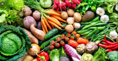 Training Course in Sustainable Agriculture Course
