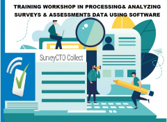 TRAINING WORKSHOPS IN PROCESSING AND ANALYZING SURVEYS AND ASSESSMENTS DATA USING SOFTWARE