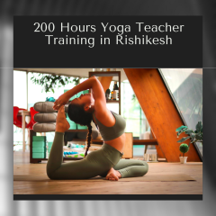 200 Hour Yoga Teacher Training In Rishikesh | 200 Hour Yoga TTC in Rishikesh