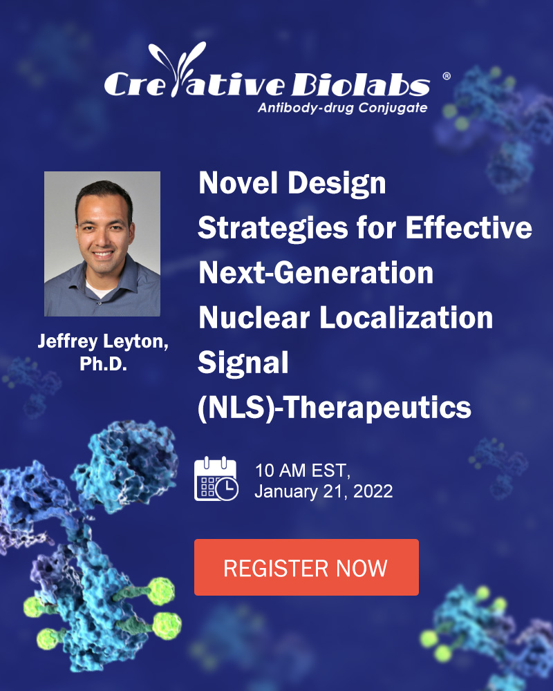 Novel Design Strategies for Effective Next-Generation Nuclear Localization Signal (NLS)-Therapeutics, New York, United States