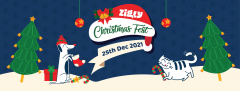 Zigly Christmas Fest