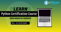 Python Course in Electronic City Bangalore