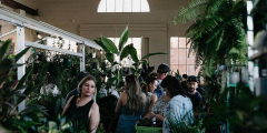 Canberra - Indoor Plant Warehouse Sale - Summertime Madness!