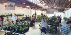 Perth - Indoor Plant Warehouse Sale - Summertime Madness!