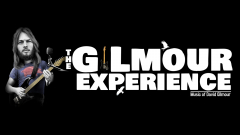 The Gilmour Experience.  The Music of Iconic Pink Floyd guitarist David Gilmour.