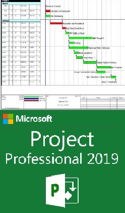 Project Planning Monitoring and Management using Microsoft Project, Pretoria, South Africa