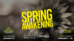 Spring Awakening the Musical