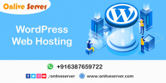 Onlive Server Provides Full Information of WordPress Web Hosting