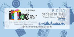 Intex South Asia India