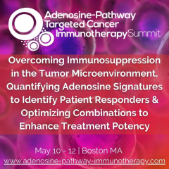 Adenosine-Pathway Targeted Cancer Immunotherapy