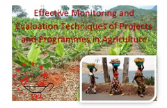 Effective M&E Techniques of Projects and Programmes in Agriculture and Rural Development